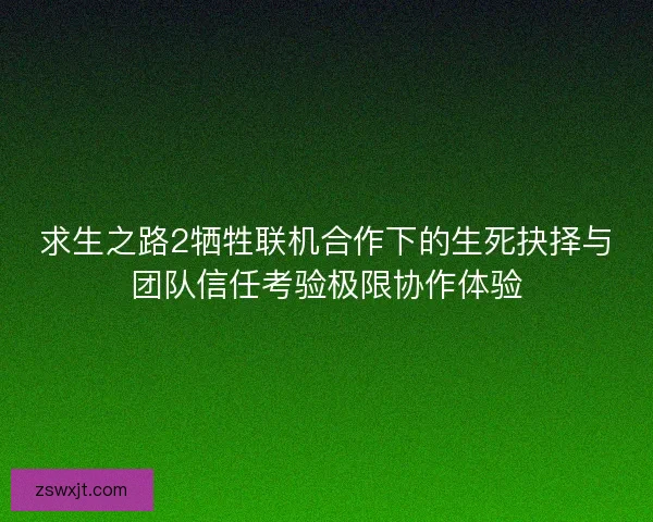 求生之路2牺牲联机合作下的生死抉择与团队信任考验极限协作体验