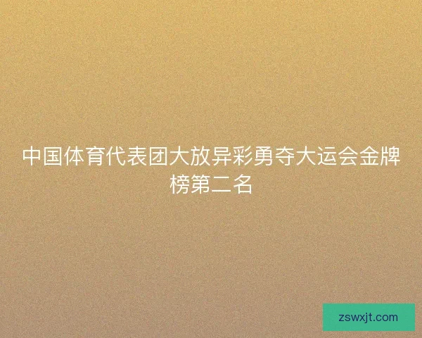 中国体育代表团大放异彩勇夺大运会金牌榜第二名