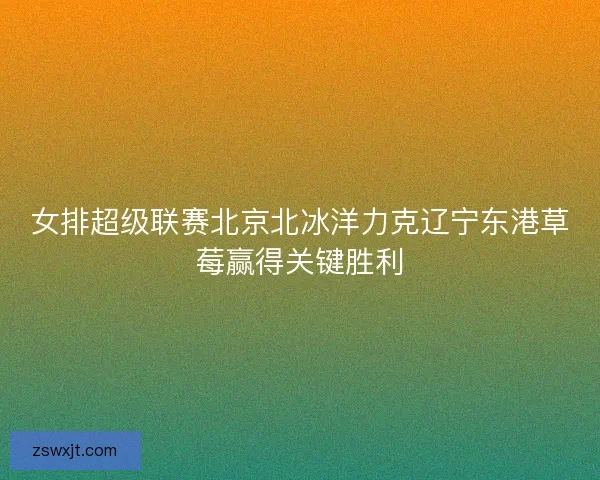 女排超级联赛北京北冰洋力克辽宁东港草莓赢得关键胜利