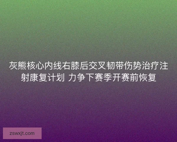 灰熊核心内线右膝后交叉韧带伤势治疗注射康复计划 力争下赛季开赛前恢复